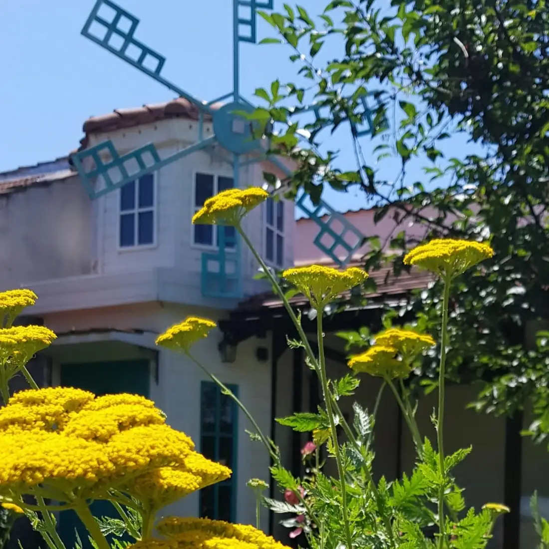 El molino pintado del jardín de la tienda Lullula, entre flores amarillas
